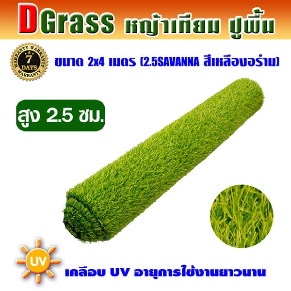 Dgrass หญ้าเทียมปูพื้น ตกแต่งสวน รุ่น DG-2.5S (สีเหลืองอร่าม)ขนาด2x4เมตร