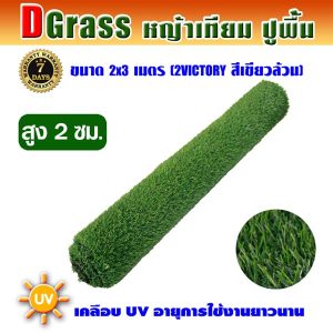 Dgrass หญ้าเทียมปูพื้น ตกแต่งสวน รุ่น DG-2V (สีเขียวล้วน)ขนาด2x3เมตร