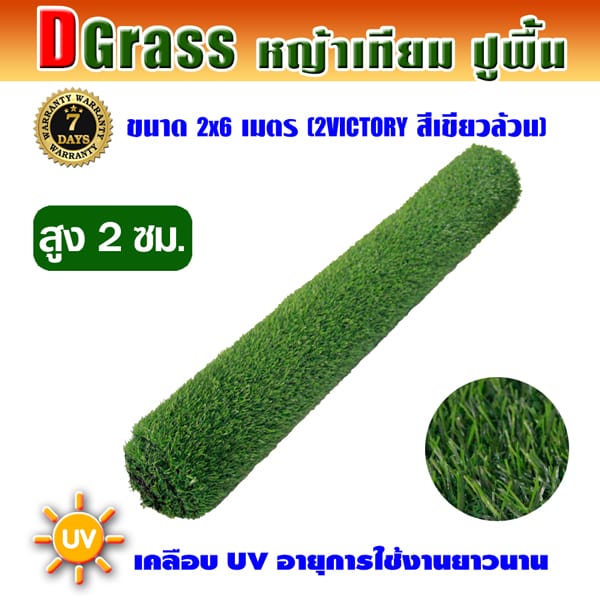 Dgrass หญ้าเทียมปูพื้น ตกแต่งสวน รุ่น DG-2V (สีเขียวล้วน)ขนาด2x6เมตร