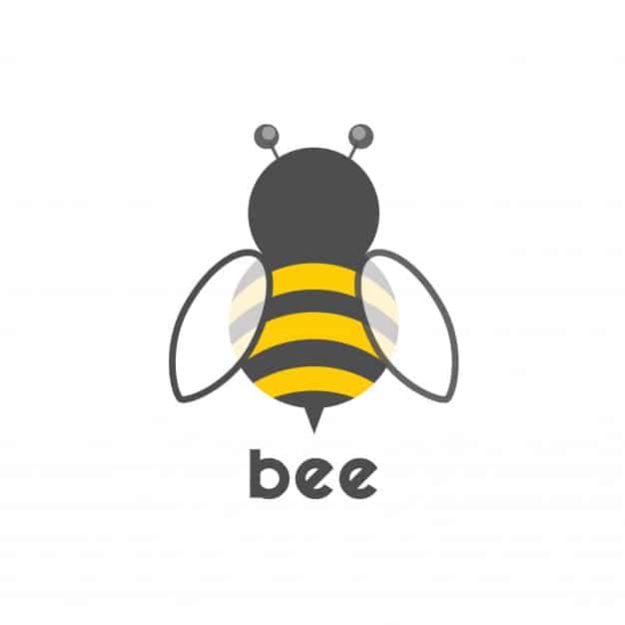 BSstoredev