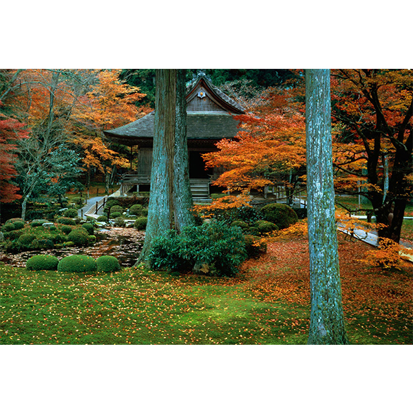 GL 24X36 SCENERY 033 PM