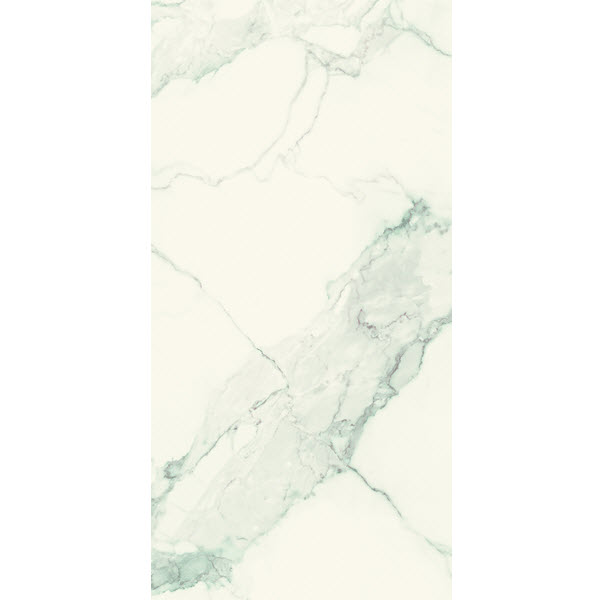 I CLASSICI DI REX Statuarion Lucido 60x120 cm.