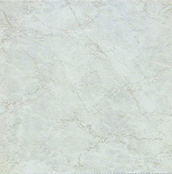 ภูริช เทา FT ORION LIGHT GREY 12X12 PM