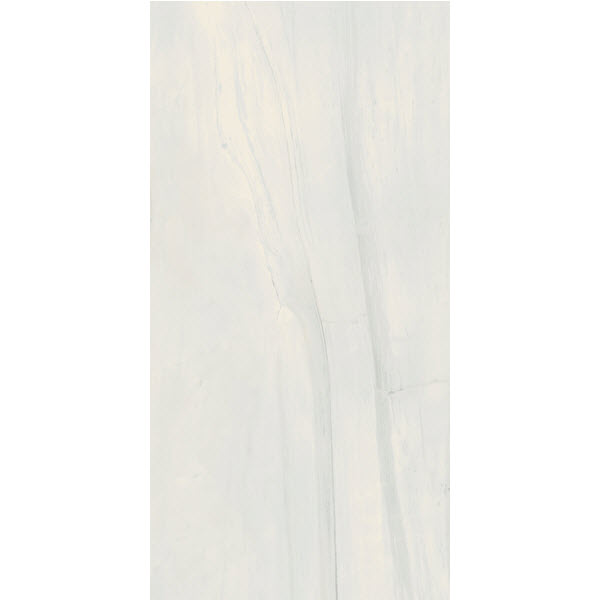 I BIANCHI DI REX PALISSANDRO LUCIDO 60x120 cm.