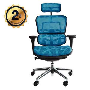 เก้าอี้เพื่อสุขภาพ รุ่นErgo2