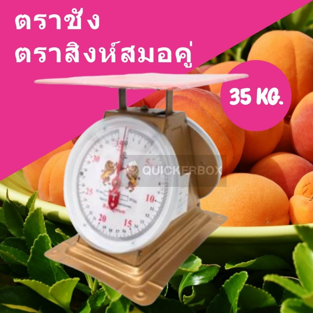 เครื่องชั่งตราสิงห์คู่สมอ 35กก. Scale จานแบน