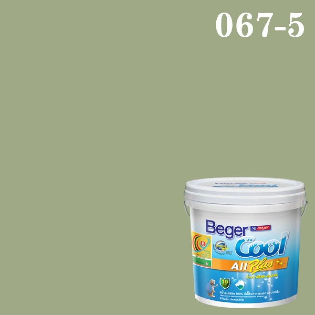 เบเยอร์คูล ออลพลัส กึ่งเงา สีน้ำอะครีลิกกึ่งเงา 067-5 Point Pleasant