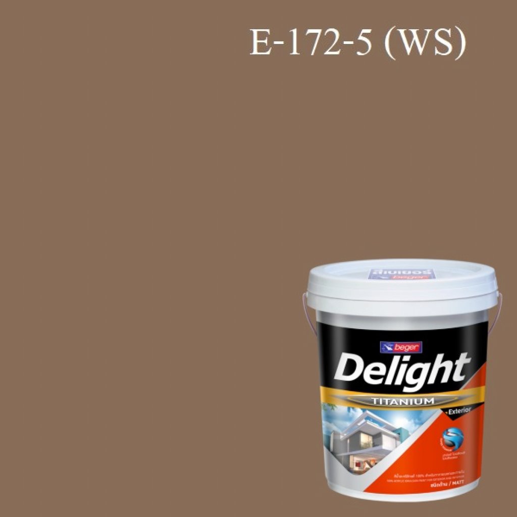 ดีไลท์ สีน้ำอะครีลิก ภายนอก E-172-5 (Hazel's Eyes) WS