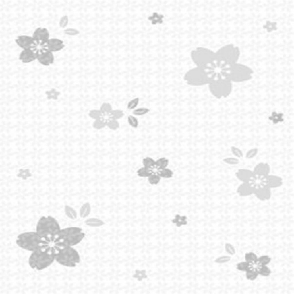กระเบื้องบุผนัง 20x25ซม. นิวซาร่าขาว ไดนาสตี้
