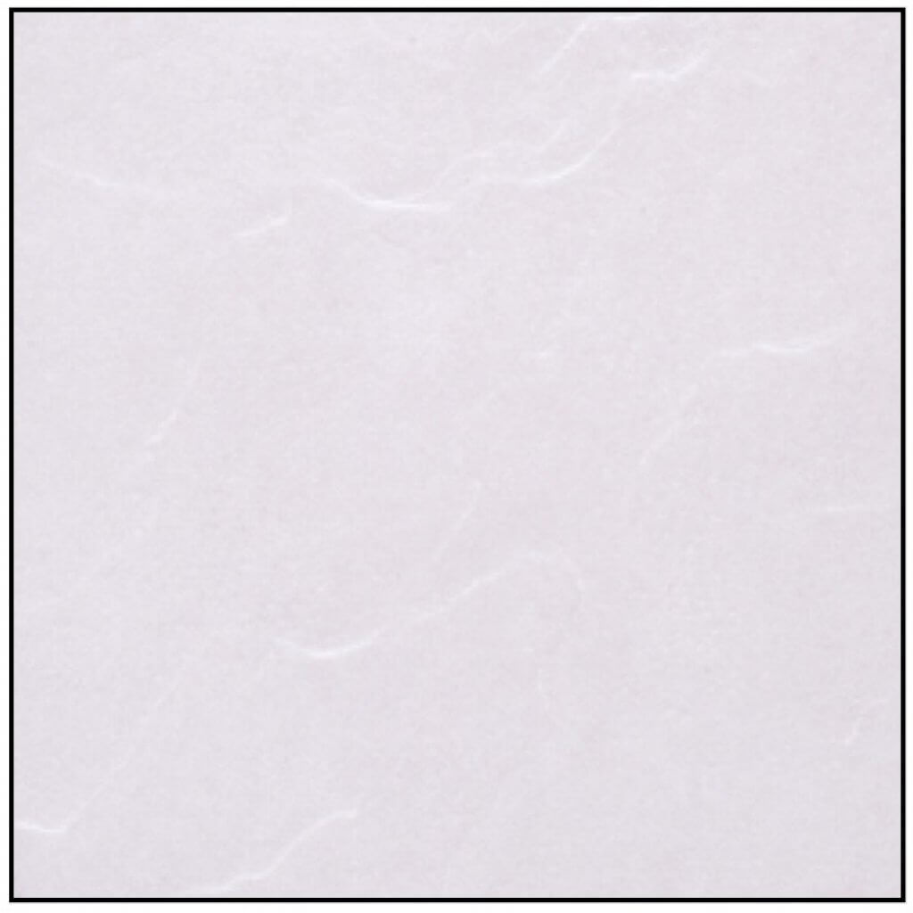 FT VEGA GREY เวก้า เทา 12X12 PM