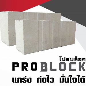 อิฐโปรบล็อค Problock
