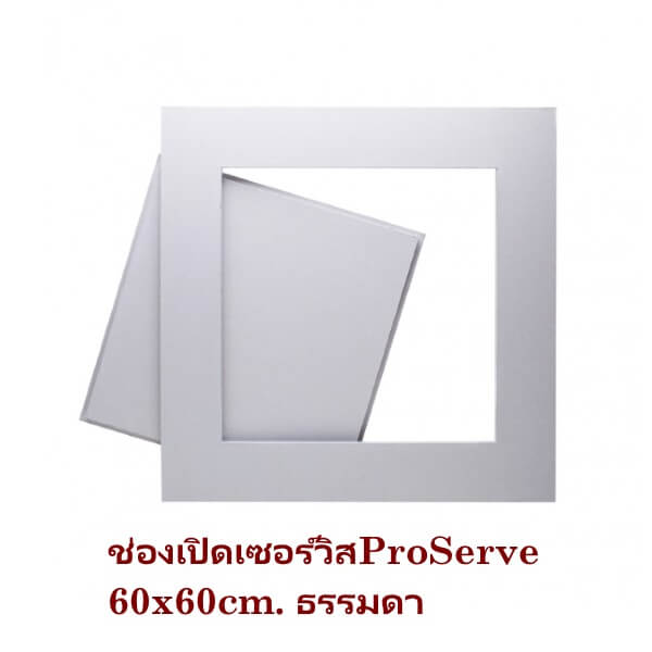 ช่องเซอร์วิส Proserve แผ่นธรรมดา