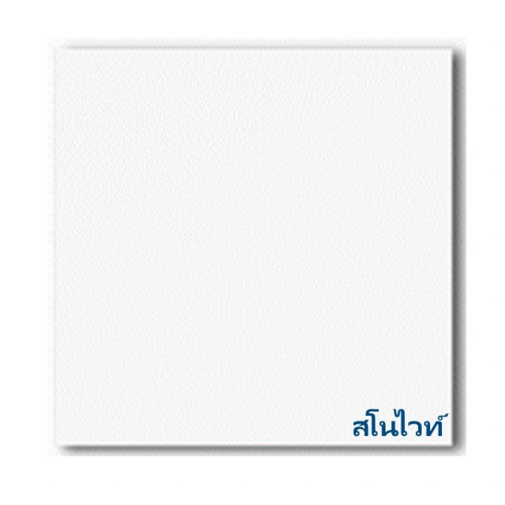 แผ่นยิปซั่ม SnowWhite 8x600x600มม. แพ็ค10แผ่น