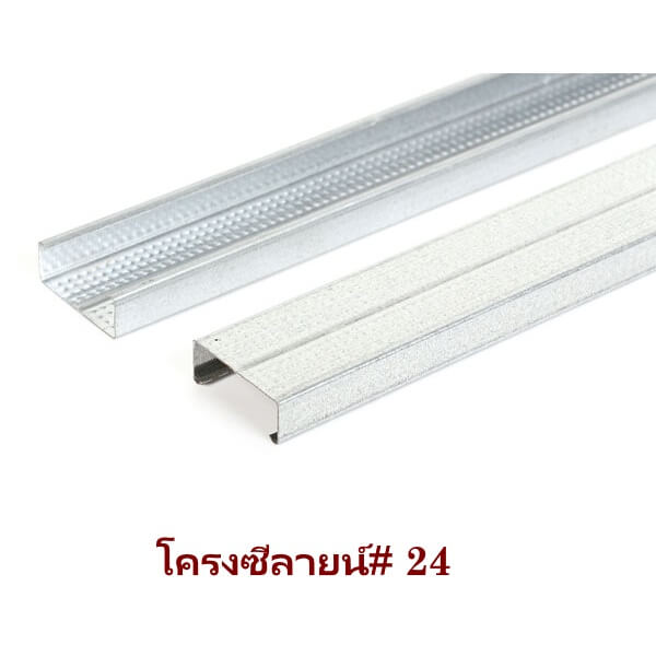 ซีลายน์ เบอร์ 24