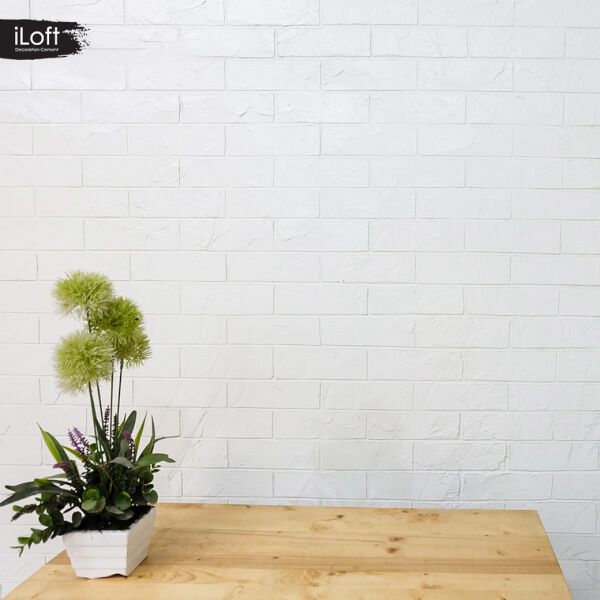 iLoft Box Set ปูนขัดมันตกแต่งผนัง สูตรน้ำ สี Super White 7 KG. - Image 6