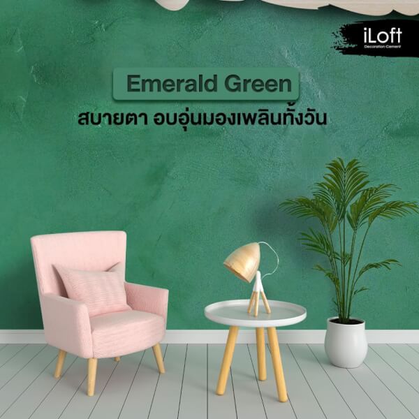 iLoft Box Set ปูนขัดมันตกแต่งผนัง สูตรน้ำ สี Emerald green 7 KG. - Image 9