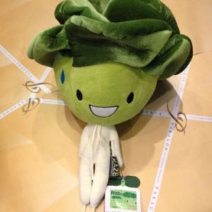 ตุ๊กตาวาบิ KAZEhandicraft
