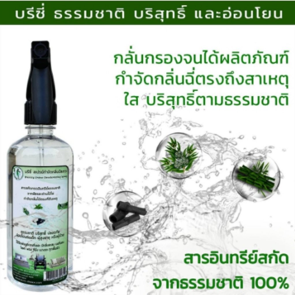 Breezy สเปรย์กำจัดกลิ่นปัสสาวะเด็ก ผู้สูงอายุ ผู้ป่วย 450cc