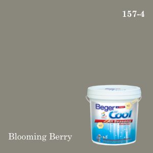 เบเยอร์คูล ออลซีซั่นส์ สีน้ำอะครีลิก-ภายนอก (SCP) 157-4 (Blooming Berry)