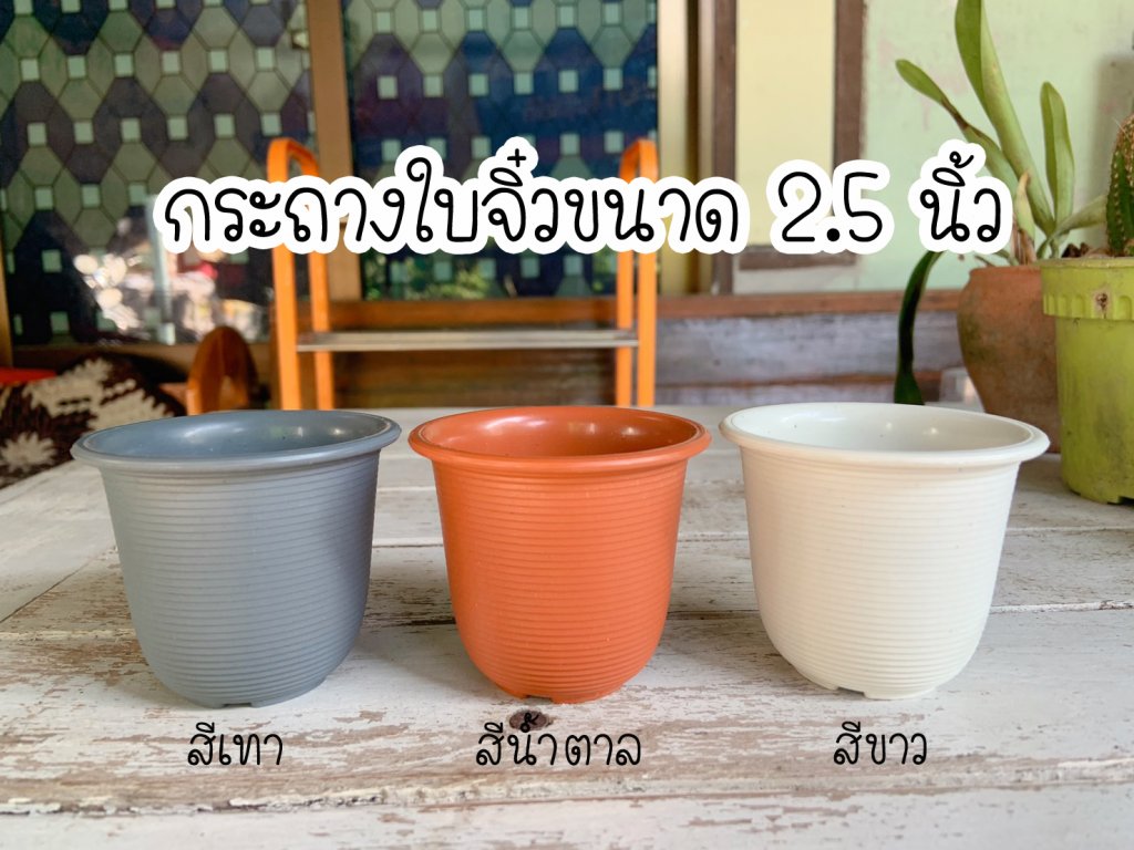 กระถางพลาสติก ทรงถ้วย 2.5 นิ้ว