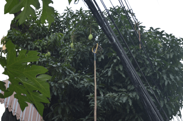 NT LADDER ไม้สอย ถอดได้ - Image 3