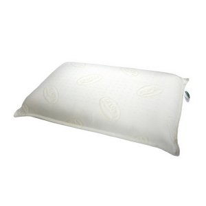 Euro Pillow