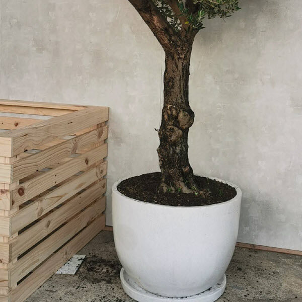 กระถางคอนกรีตเสริมเหล็กขัดมันทรงแคปซูล 80x60cm. I-POT
