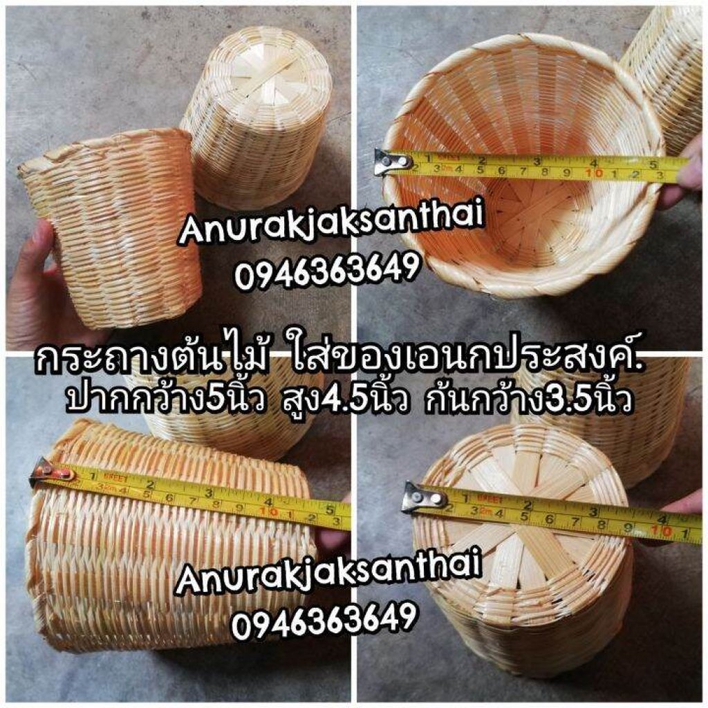 กระถางต้นไม้​ ปากกว้าง​ 5 นิ้ว