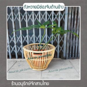 ถังหวาย มีที่จับด้านข้าง ถังใส่ต้นไม้