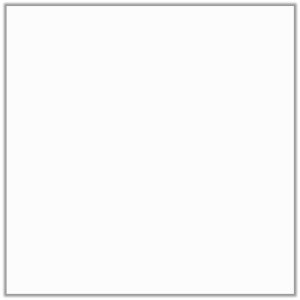 SA-N 8X8 แพรวผกา-ขาว (A)