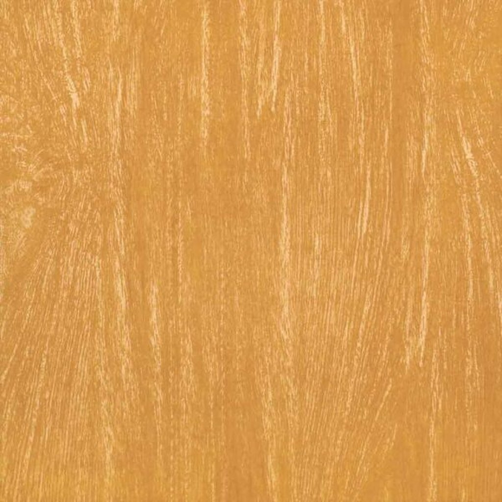 พฤกษ์พนา-ทอง 16x16 (A) Campana