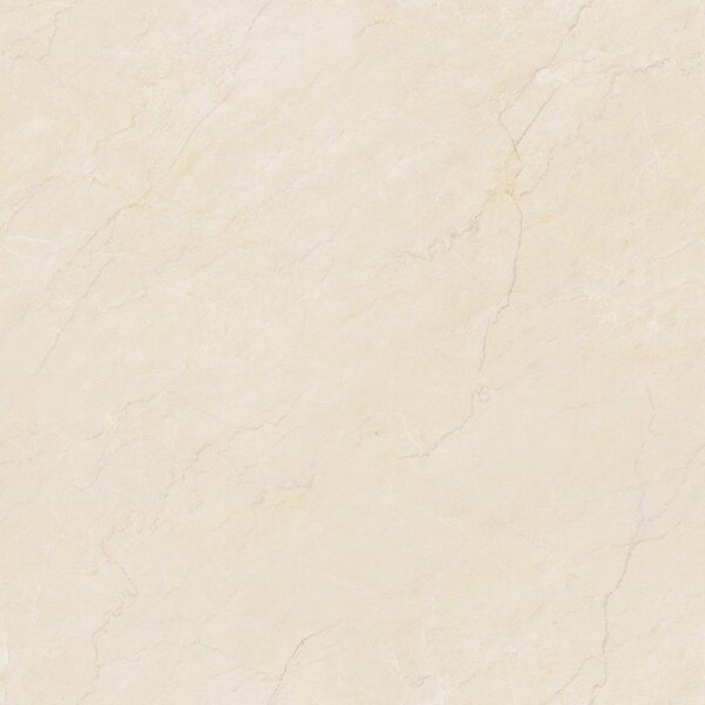 ไพเรท 24x24 DP (A) Campana