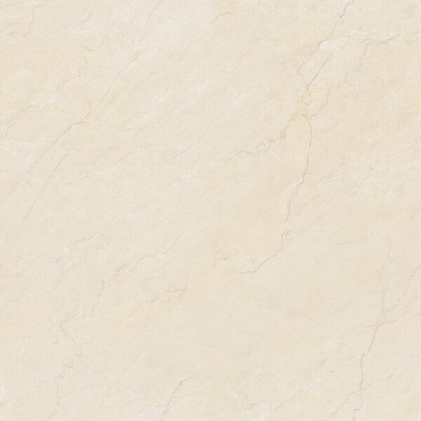 ไพเรท 24x24 DP (A) Campana