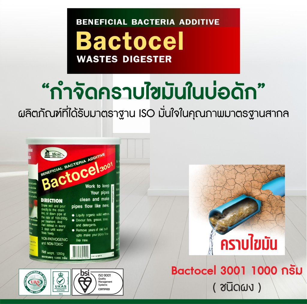 แบคโตเซล 3001 BACTOCEL 1000กรัม ย่อยไขมันหนา
