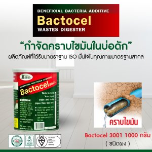 แบคโตเซล 3001 BACTOCEL 1000กรัม ย่อยไขมันหนา