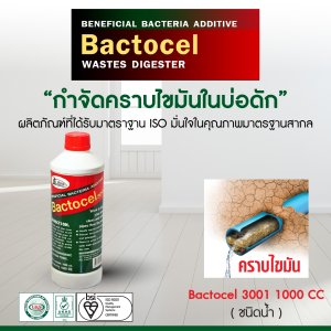 ไบโอนิค 3001 BACTOCEL 1000ml. จุลินทรีย์ดับกลิ่นเหม็นไขมัน