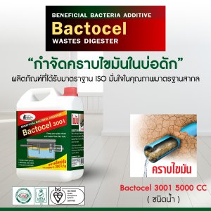 แบคโตเซล 3001 BACTOCEL 5L. กำจัดกลิ่นเหม็นส้วม