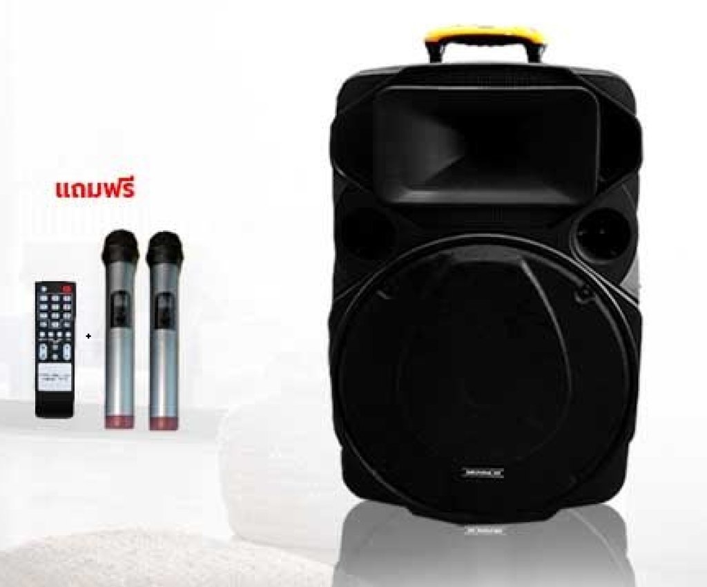 ตู้ลำโพงขยายเสียง 15นิ้ว 2ทาง 1000W PMPO (80W RMS) รุ่น9916