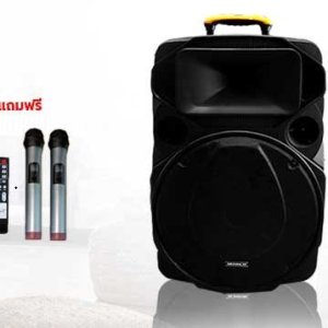 ตู้ลำโพงขยายเสียง 15นิ้ว 2ทาง 1000W PMPO (80W RMS) รุ่น9916