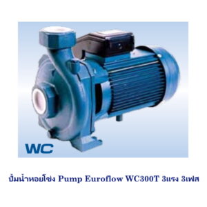 ปั้มน้ำหอยโข่ง Pump Euroflow WC300T 3แรง 3เฟส