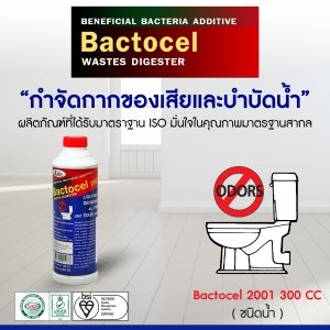 แบคโตเซล 2001 BACTOCEL 300cc