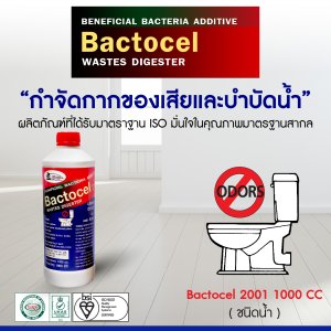 แบคโตเซล 2001 BACTOCEL 1000cc น้ำยากำจัดกลิ่นท่อระบาย