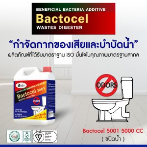 BACTOCEL 2001 5L จุลินทรีย์กำจัดกากของเสียในห้องน้ำ