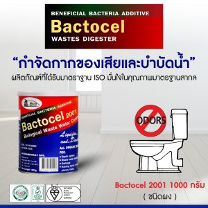 แบคโตเซล 2001 BACTOCEL โซดาไฟ 1000กรัม