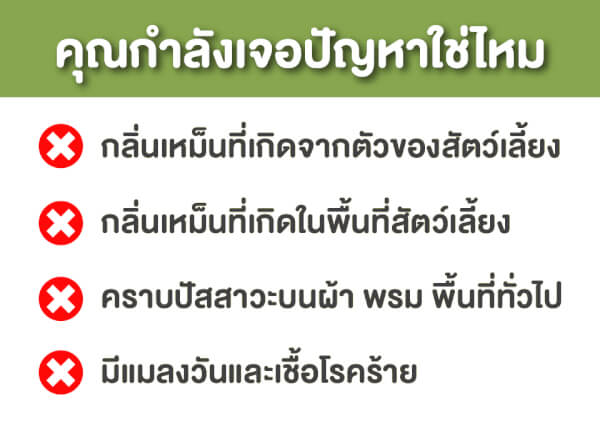 หอม HOM สเปรย์กำจัดกลิ่นเหม็นสัตว์เลี้ยง 100ml. - Image 18