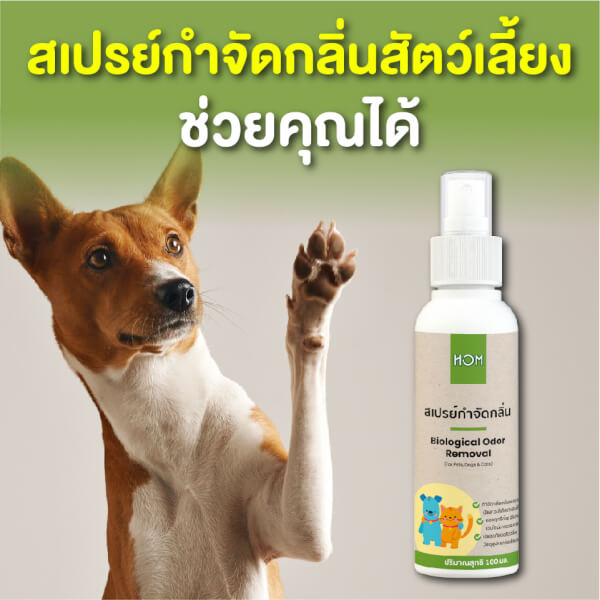 หอม HOM สเปรย์กำจัดกลิ่นเหม็นสัตว์เลี้ยง 100ml. - Image 16