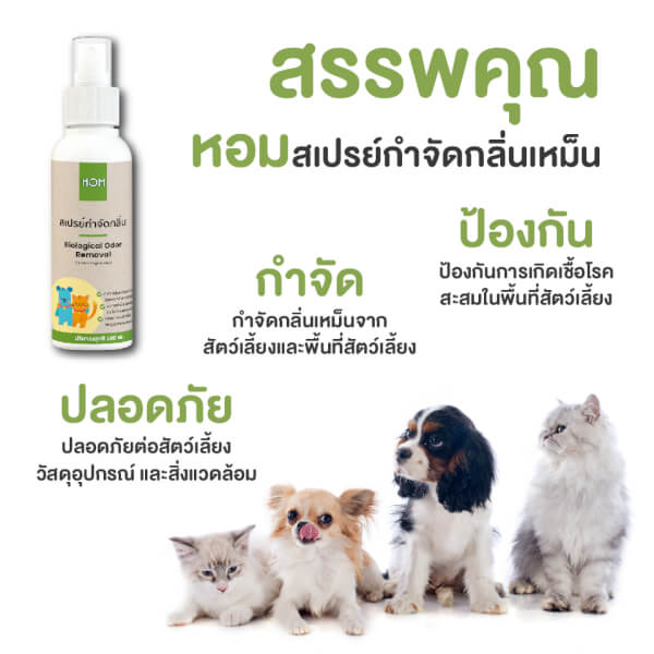หอม HOM สเปรย์กำจัดกลิ่นเหม็นสัตว์เลี้ยง 100ml. - Image 12
