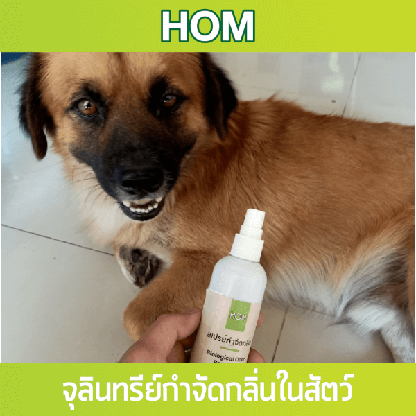 หอม HOM สเปรย์กำจัดกลิ่นเหม็นสัตว์เลี้ยง 100ml. - Image 2