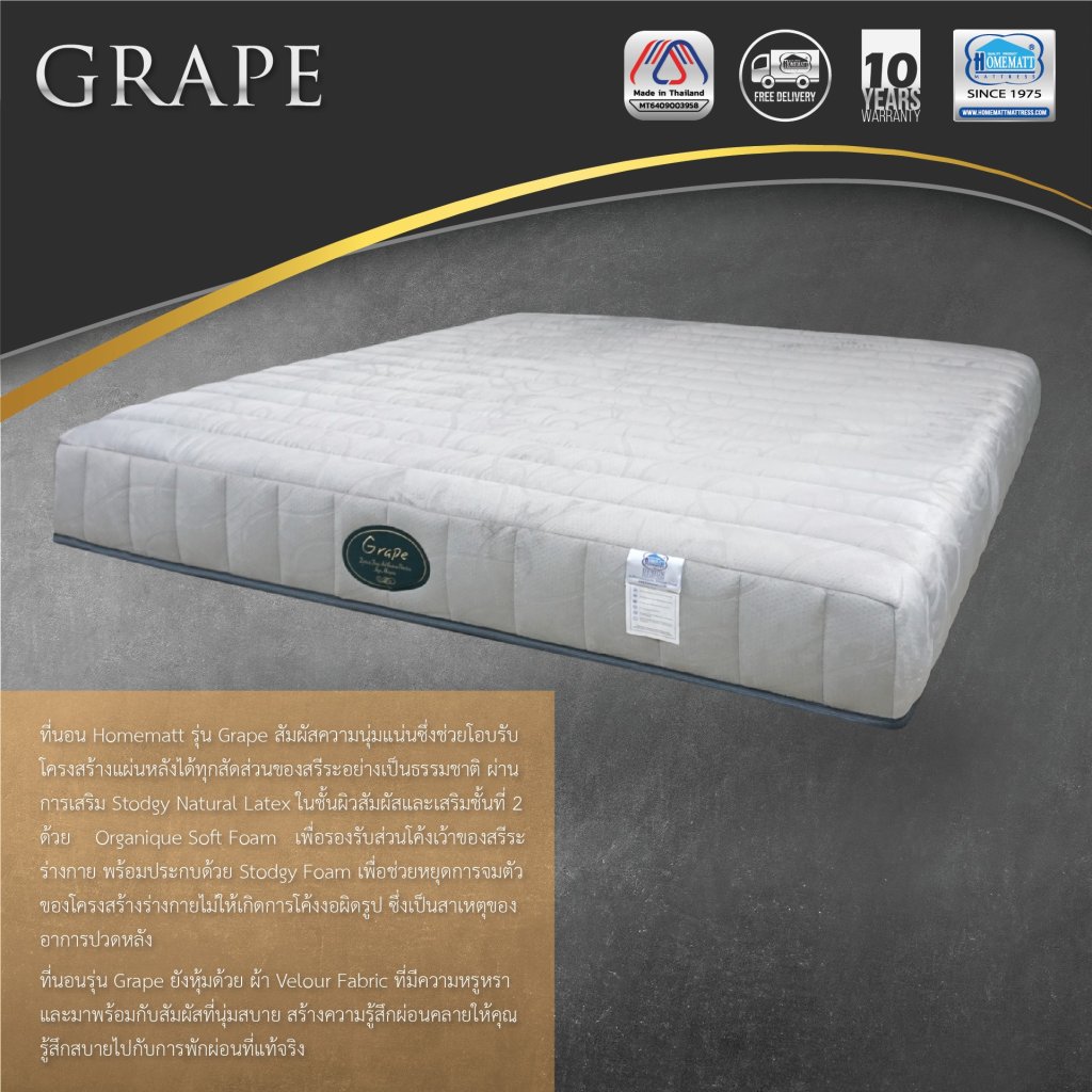 ที่นอน Grape 6 ฟุต