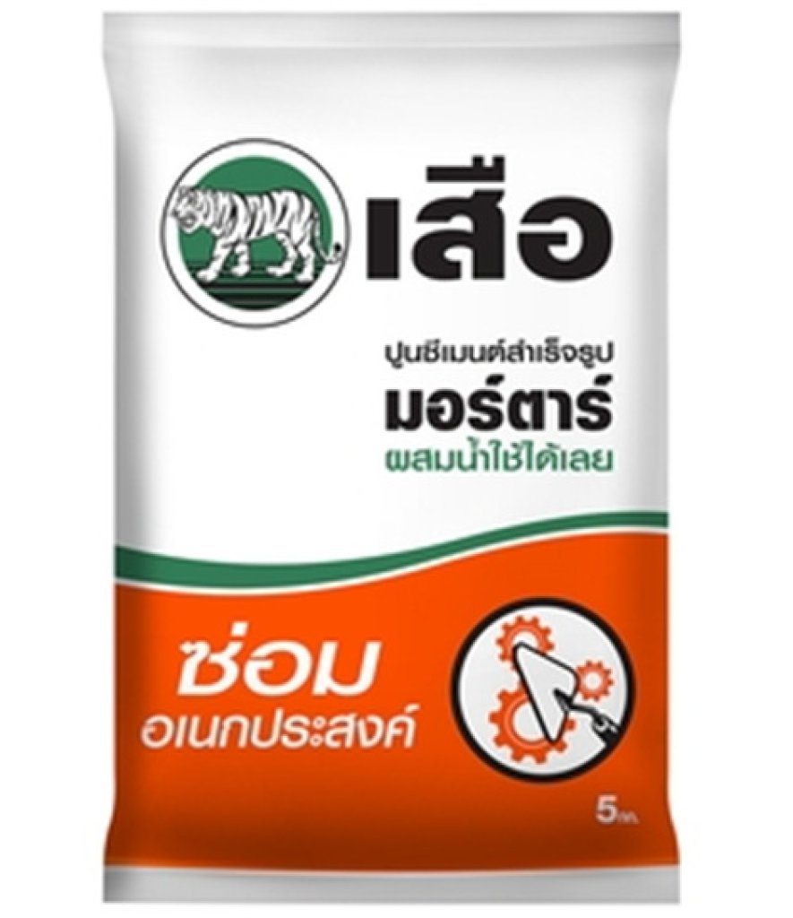 ปูนซ่อมอเนกประสงค์สำเร็จรูป